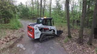 Rudi Jones L&C Ltd. - Dead Tree Removal