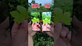 Oppo Reno 11 vs Vivo V30e Camera Test