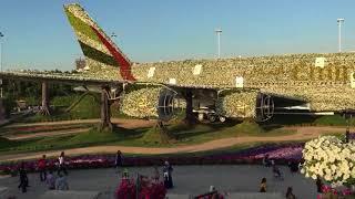 Сад цветов - Dubai Miracle Garden. Клуб Путешествий Ирины Печерской!