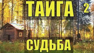 ЗАБРОШЕННАЯ ИЗБА ОТШЕЛЬНИК  КАТОРГА ШТРАФБАТ КОНЦЛАГЕРЬ ИЗБА ЛЕСНИКА  СУДЬБА ИСТОРИИ из ЖИЗНИ  2