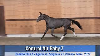 Control Alt Baby Z (gaits)