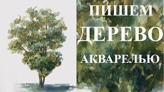 Уроки рисования. Как рисовать дерево. Пишем дерево акварелью - легко и просто!