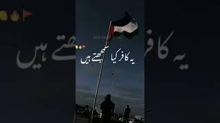 don't be afraid Muslims 