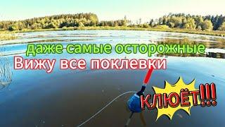 Поклевки как по нотам: идеальная огрузка поплавка для чуткой и осторожной рыбы