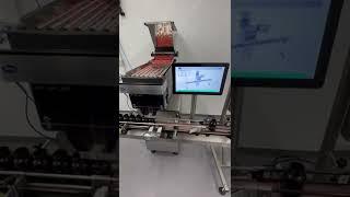 Automatic Tablet Packing Machine, King Tablet Counter