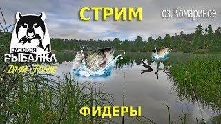 Стрим  РУССКАЯ РЫБАЛКА 4.Ловим на фидеры...Карась + лещ...оз.Комариное.