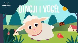 Qingji i Vogël | Këngë për Fëmijë | Bubrreci TV #kengeperfemije