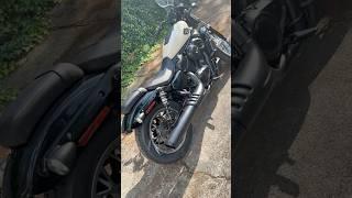 2025 Nightster color change #harleydavidson
