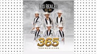 365    LOS REALES DEL RIO