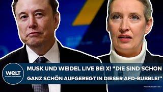 ALICE WEIDEL: Livestream mit Elon Musk! "Die sind schon ganz schön aufgeregt in dieser AfD-Bubble!"