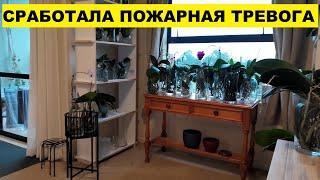 СРАБОТАЛА ПОЖАРНАЯ ТРЕВОГА..Я ХОТЬ УВИДЕЛА МНОГИХ СОСЕДЕЙ