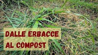 Trasformare le erbacce in compost. Concimare il terreno senza il letame.