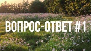 Вопрос ответ #1