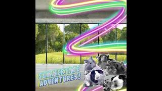 RODENT RASCALS ADVENTURES: SUMMERTIME ADVENTURES