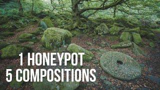 1 Honeypot, 5 Compositions - Padley Gorge, Woodland Photography