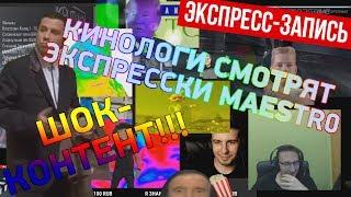 [Экспресс-запись] Шок-контент! Кинологи и экспресски от Maestr0