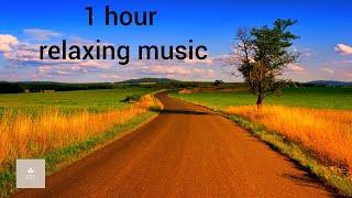 1 hour Relaxing Music, Stress Buster Music, Calm Music, Peaceful Music, Study Spa, Relief Music