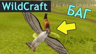 Почему ОРЕЛ НЕ АТАКУЕТ? Опять БАГИ в WildCraft!