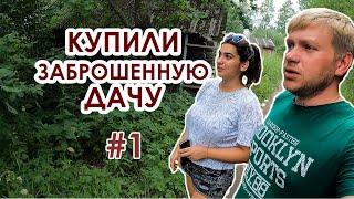 Купили заброшенную дачу #1. Это настоящий лес. Начинаем расчищать участок.