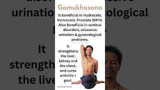 Benefits of Gomukhasana - The Cow Face Pose
