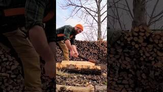 Quartering Austrian birch for spoon blanks using a restored vintage axe from Sweden. #spooncarving
