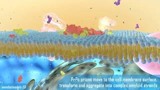 Prion disease animation