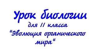 Урок биологии."Эволюция органического мира"