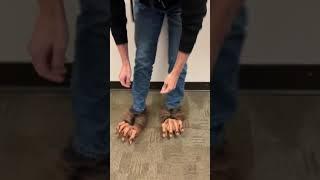 Dancing Zagone Studios werewolf feet!