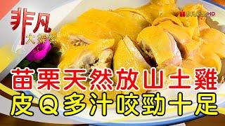 田野中的土雞客家菜│苗栗美食必吃│三義土雞城花園餐廳│【非凡大探索】2023.12.03