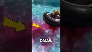 Jangan melakukan ini saat di dalam kolam #shorts