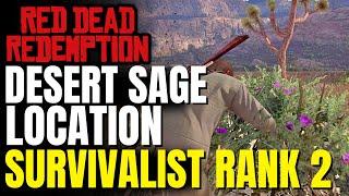 All 6/6 Desert Sage Gaptooth Ridge Locations | Red Dead Redemption Survivalist Rank 2