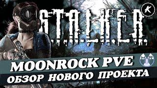 ОБЗОР НОВОГО STALKER ПРОЕКТА MOONROCK PVE #dayz #stalker