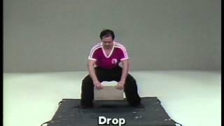 Shaolin Chin Na (YMAA Qin Na) grappling & joint locks by Dr. Yang, Jwing-Ming