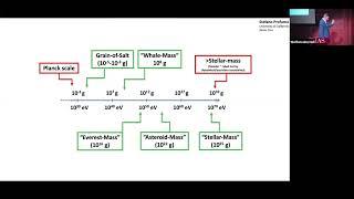 Black Holes as Dark Matter - Stefano Profumo