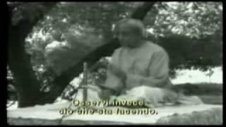 Jiddu Krishnamurti - La ricerca della sicurezza