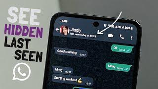 How to See Hidden Last Seen on WhatsApp? [100% Working]