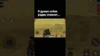 рома гей #metropubg #metroroyale #pubg #pubgm #pubgmobile #бабаджи #memes#собаки#слив