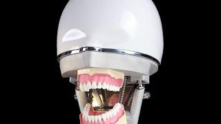 phantom head & dental phantom simulation head & phantom simulator unit and workbenches