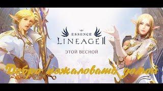 ЧТО СТАЛО С ЛИНЕЙКОЙ ? | ОБЗОР И ГЕЙМПЛЕЙ LINEAGE 2 ESSENCE | КАЧАЕМ ЛУКА | ИГРА ЗА DARK ELF