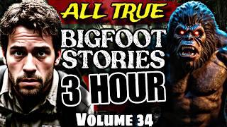 [3 Hour] TOP BIGFOOT Encounter Stories | BIGFOOT Documentary | BIGFOOT Sighting Latest [Vol.34]