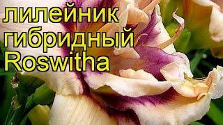 Лилейник гибридный Росуиза. Краткий обзор, описание характеристик hemerocallis Roswitha