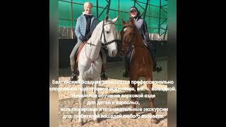 Уроки  верховой  езды. Санкт-Петербург. Балтийский Всадник.
