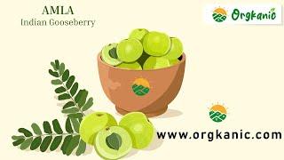 Nellikai Amla Gooseberry Legiyam | WWW.ORGKANIC.COM | #amlacandy #organicproducts