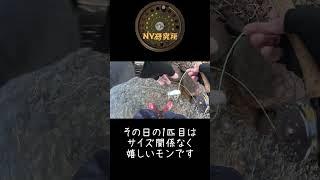 朱鞠内湖　2025　5月21　イトウ1本目　北海道　フライフィッシング　Hokkaido　FlyFishing　Lake Shumarinai　※朱鞠内湖は遊漁料が掛かります！
