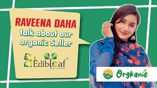 Buy Now All Edibleaf Products @ www.orgkanic.com