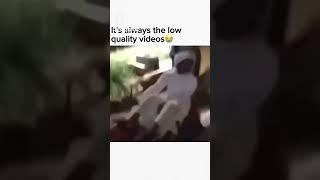 What is he doing?  #ksi #memes #silly #funny #sillymemes #zyqt @zyqt1667