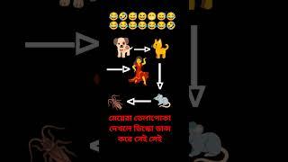 so #funny# video 🫣🫣🫣