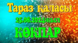 Тараз қаласы Жақаш ауылы Әйтімбетов Шеке Әйтімбетұлы атамызды еске алу ас көкпары 25.08.2024жыл