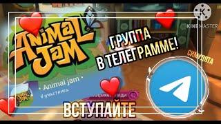 ГРУППА по ДЖЕМУ в телеграмме • ANIMAL JAM || Симулята #ajpw #animaljam #aj #телеграмм #энималджем