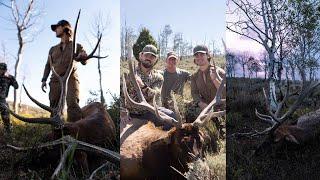 Utah Elk Hunting- Three bulls in two days.